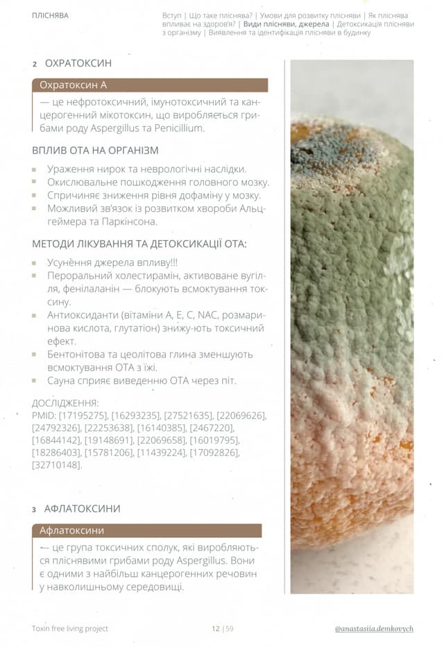 Slide 5